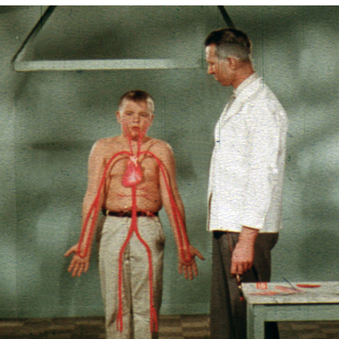 Scientist and Child Demonstrating Anatomy